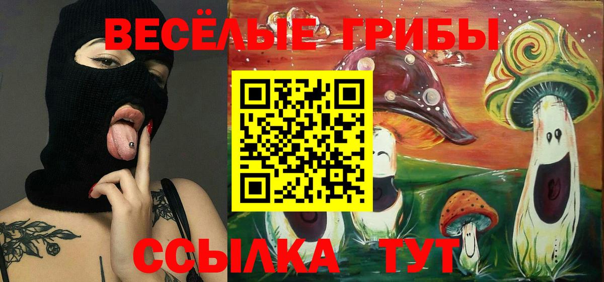 Гуково  Псилоцибиновые грибы MAGIC MUSHROOMS  купить наркотики цена  Вход с VPN  Галлюциногенные грибы ЛСД 
